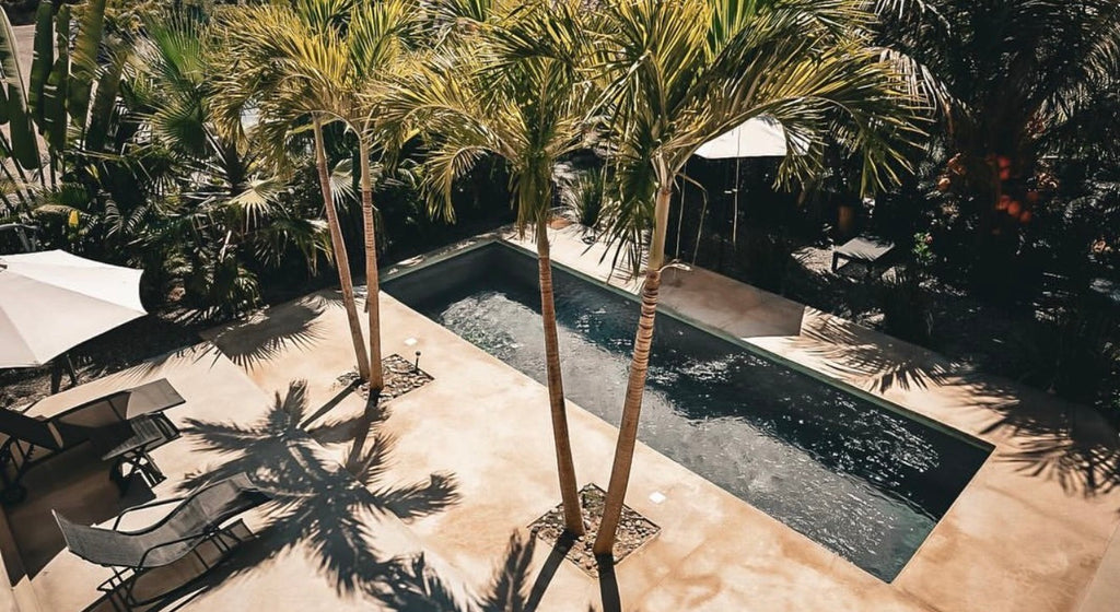 Saladita