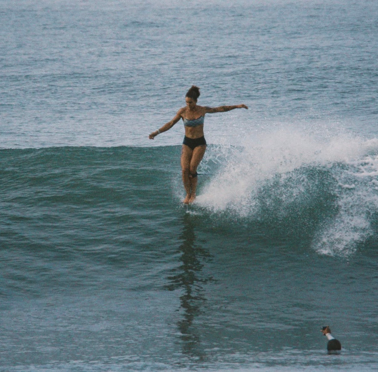 Longboard master minds
